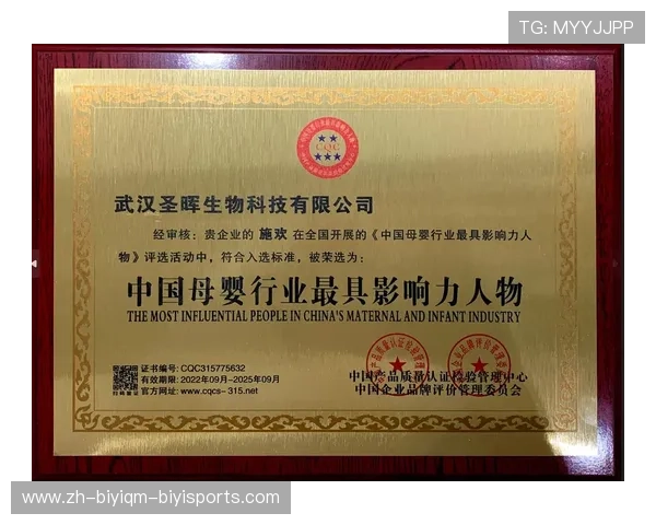 法甲球队品牌战略建设及其对市场影响力的深度分析 法甲球队品牌战略建设及其对市场影响力的深度分析