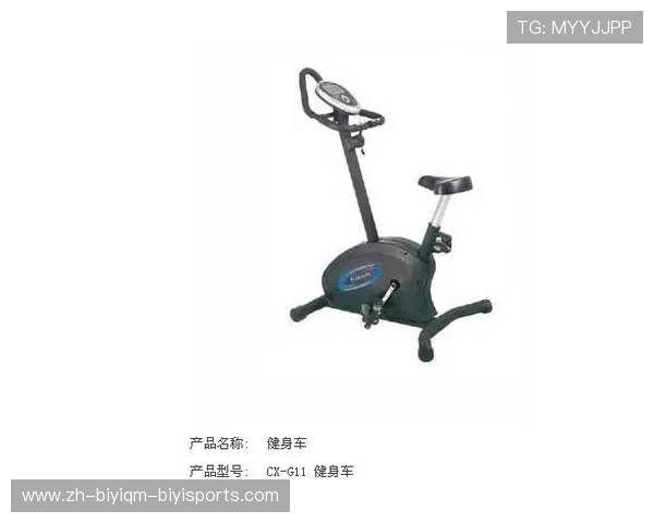 运动健身器材包含哪些种类及其功能详解