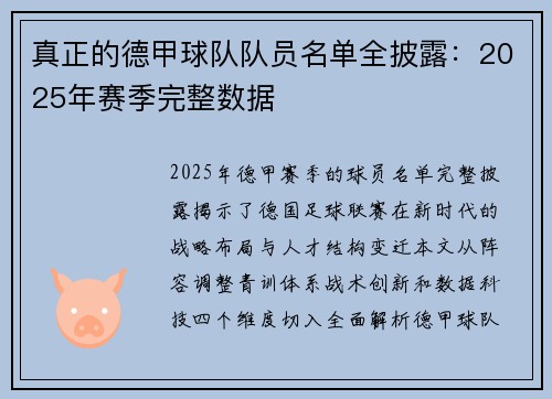 真正的德甲球队队员名单全披露：2025年赛季完整数据
